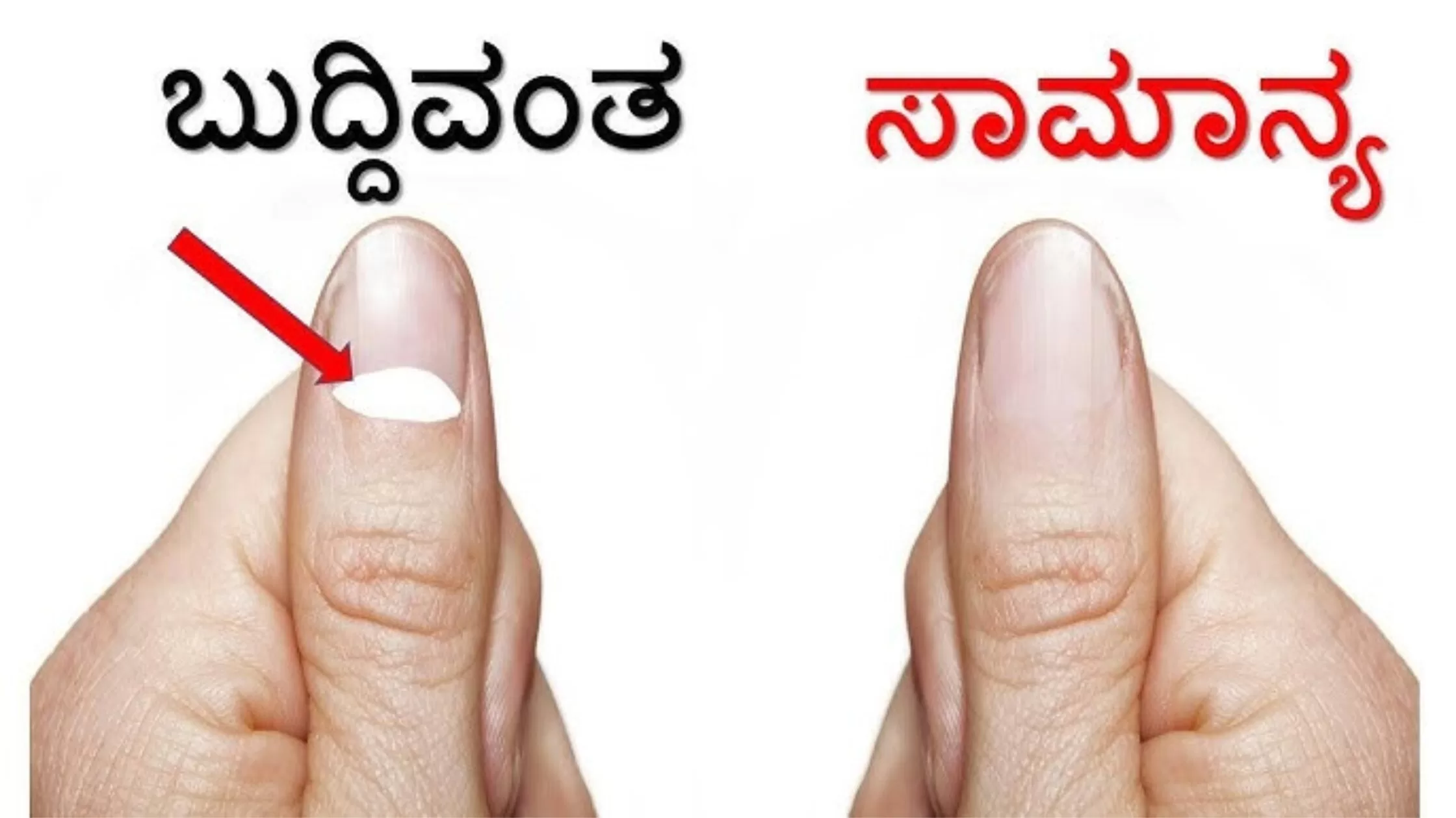 ನಿಮ್ಮಲ್ಲಿ ಈ ಗುರುತುಗಳು ಇವೆಯೇ ಹಾಗಿದ್ದರೆ ನೀವು ಬುದ್ಧಿವಂತರಾಗಿರುವಿರಿ..!!